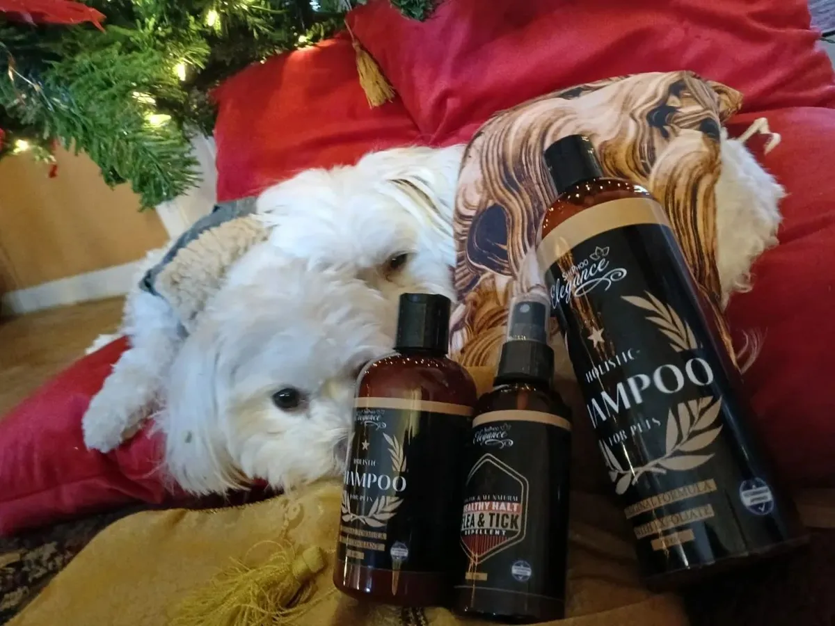 Two dogs resting beside ShePhoo shampoo and Healthy-Halt spray