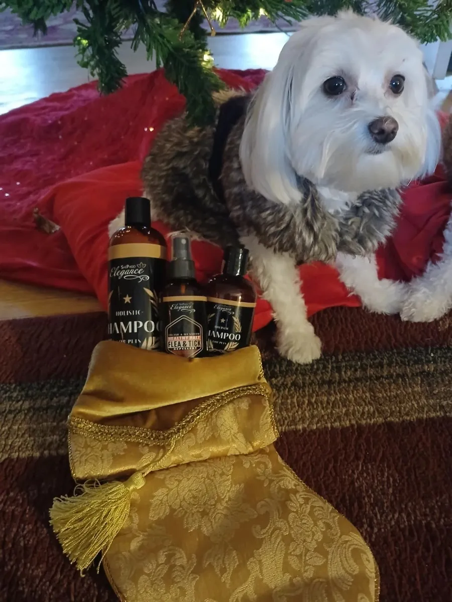 A white dog under the holiday tree with ShePhoo products
